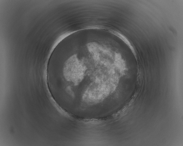 X0000116570811200912241633