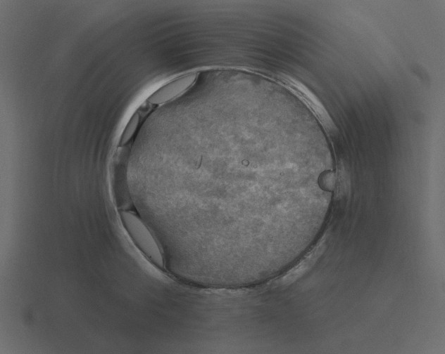 X0000116570812200912241633