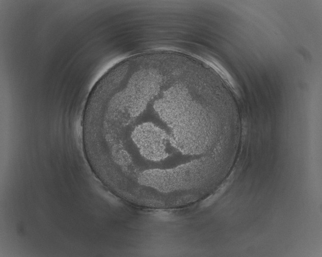 X0000116570814200912241633