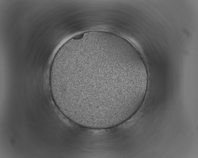 X0000116570816200912241633