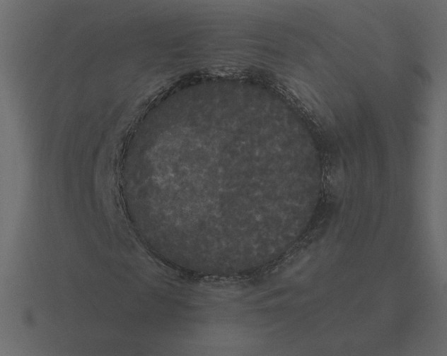 X0000116570817200912241633