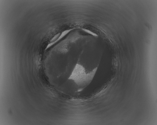 X0000116570818200912241633