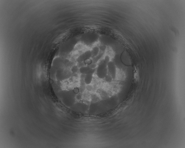 X0000116570819200912241633