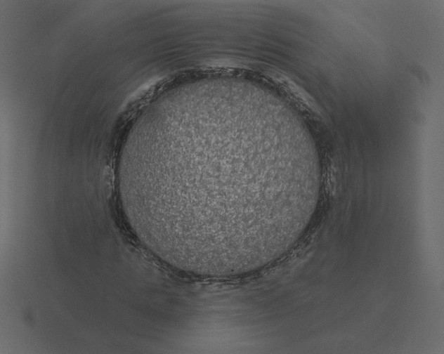 X0000116570821200912241633