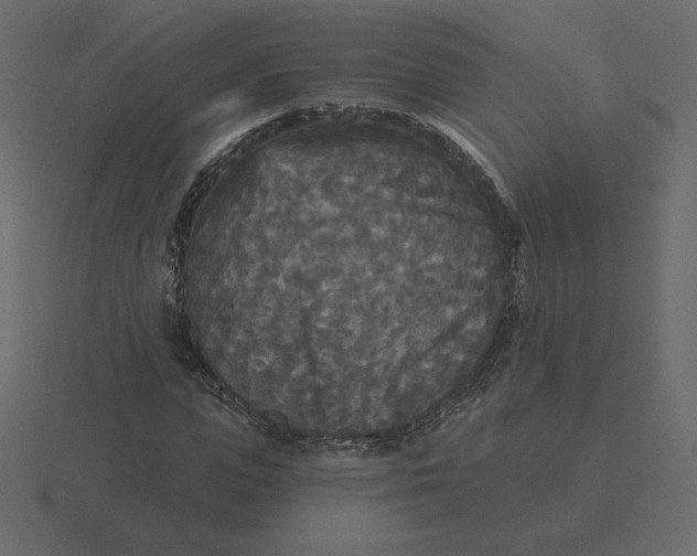 X0000116570823200912241633