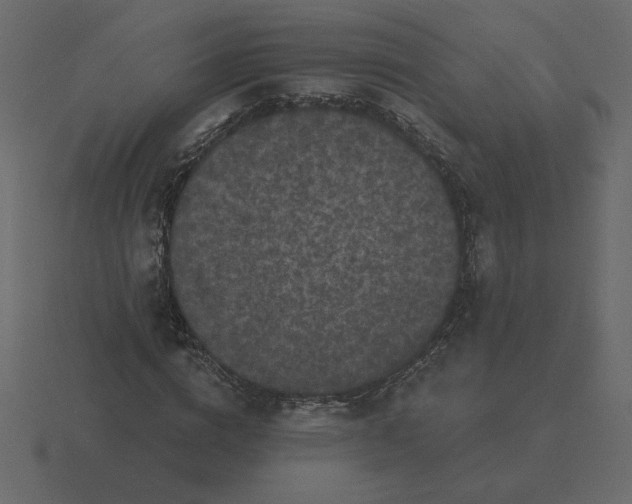 X0000116570824200912241633