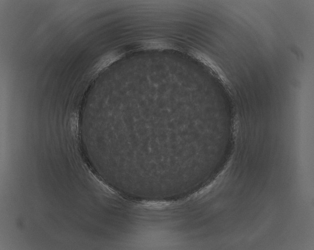 X0000116570825200912241633