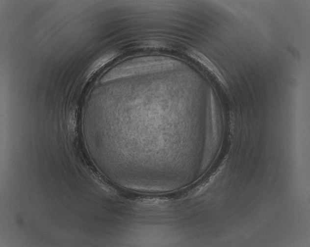 X0000116570826200912241633