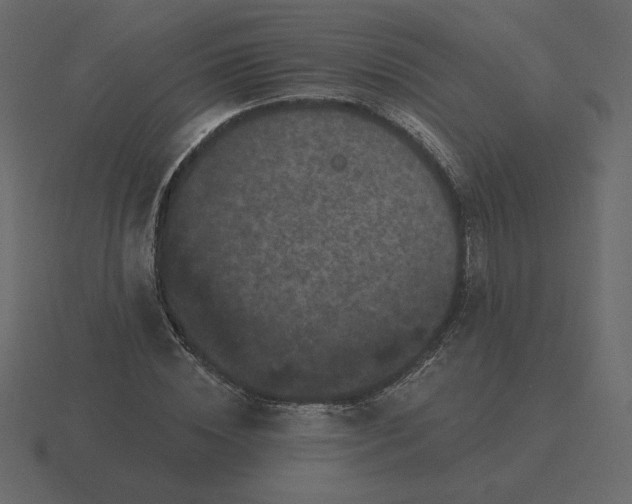 X0000116570828200912241633