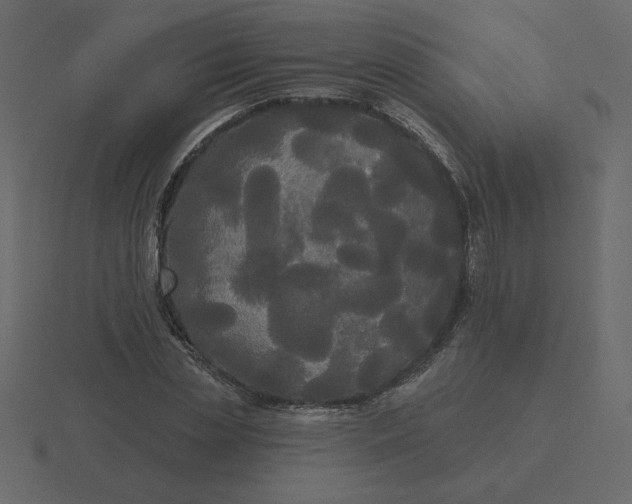 X0000116570829200912241633