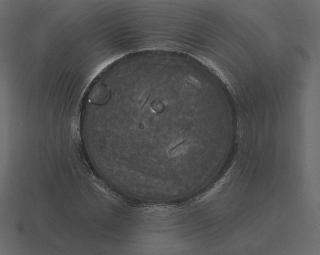 X0000116570830200912241633