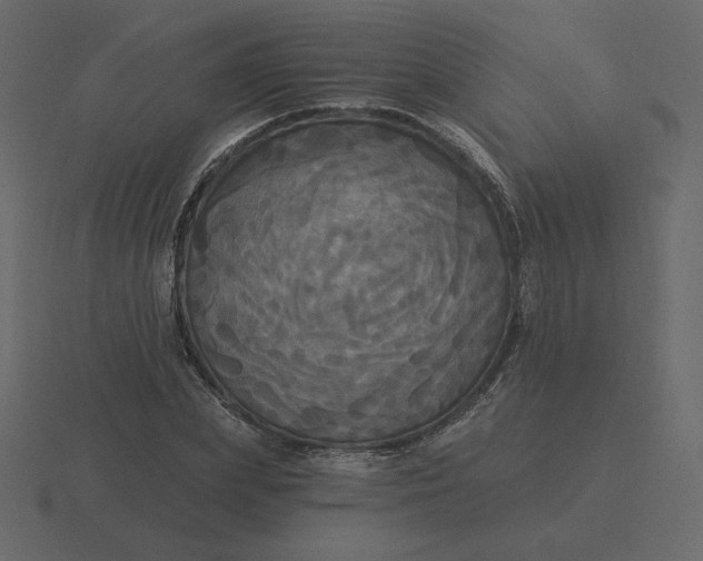 X0000116570831200912241633