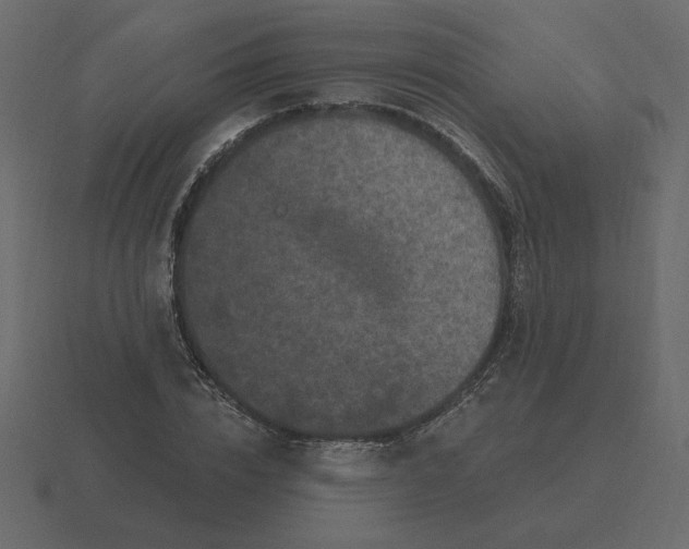 X0000116570832200912241633