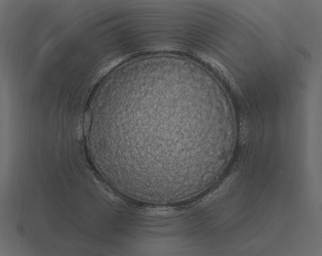 X0000116570833200912241633