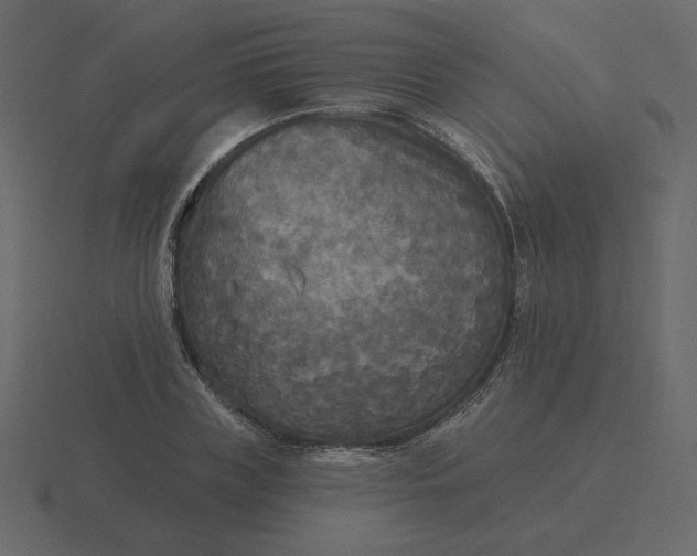 X0000116570835200912241633