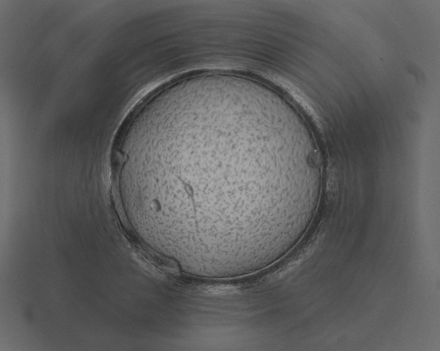 X0000116570837200912241633