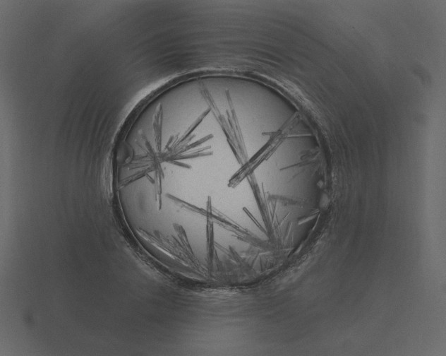 X0000116570838200912241633