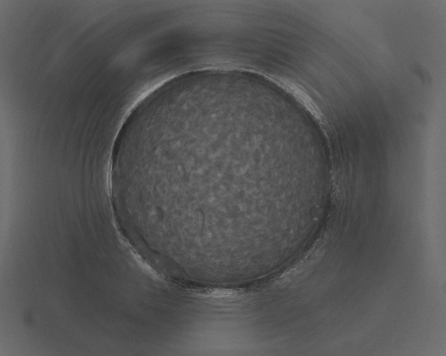 X0000116570839200912241633