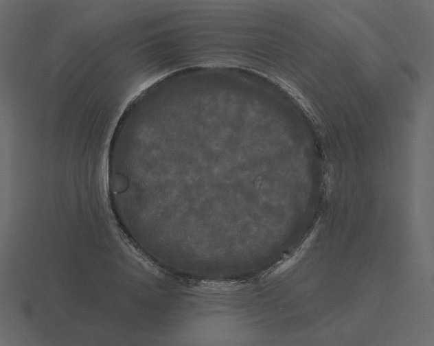 X0000116570840200912241633