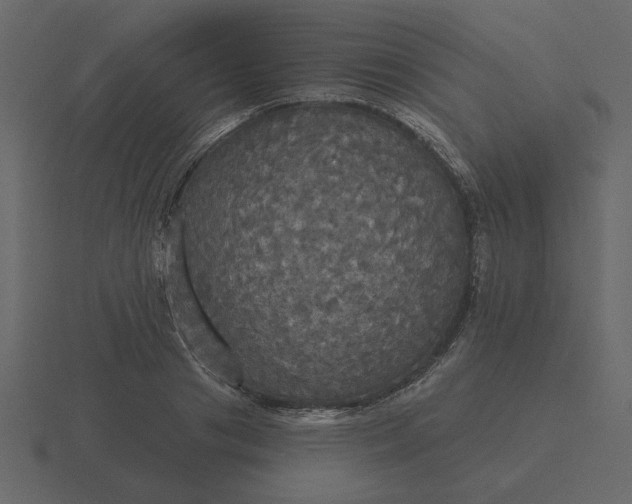 X0000116570841200912241633