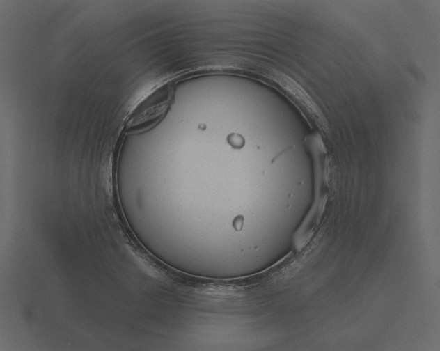 X0000116570842200912241633