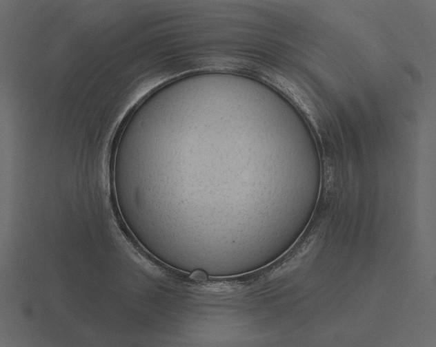 X0000116570843200912241633