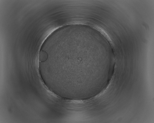 X0000116570844200912241633