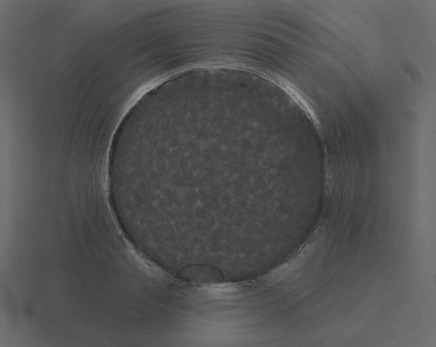 X0000116570845200912241633