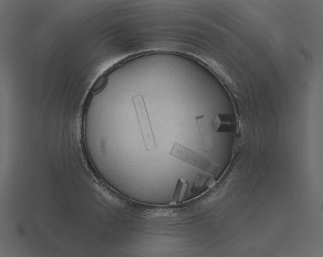 X0000116570846200912241633