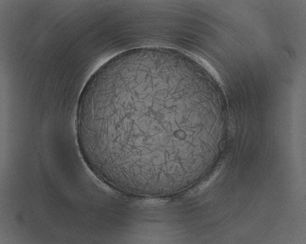 X0000116570847200912241633