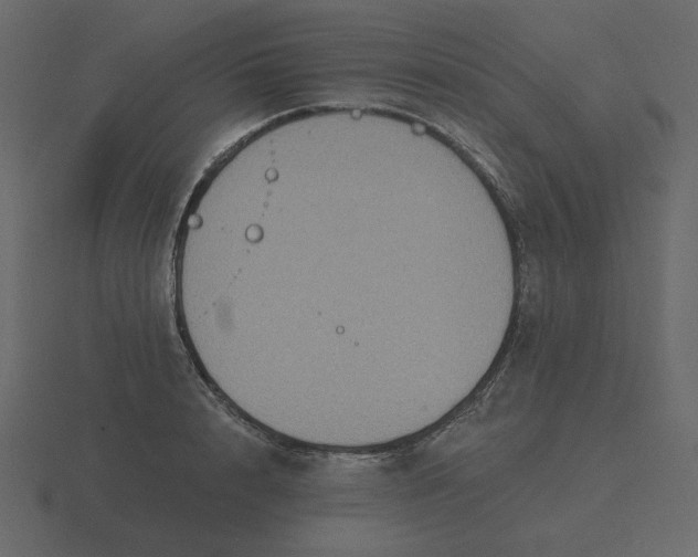 X0000116570848200912241633