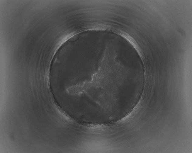 X0000116570850200912241633