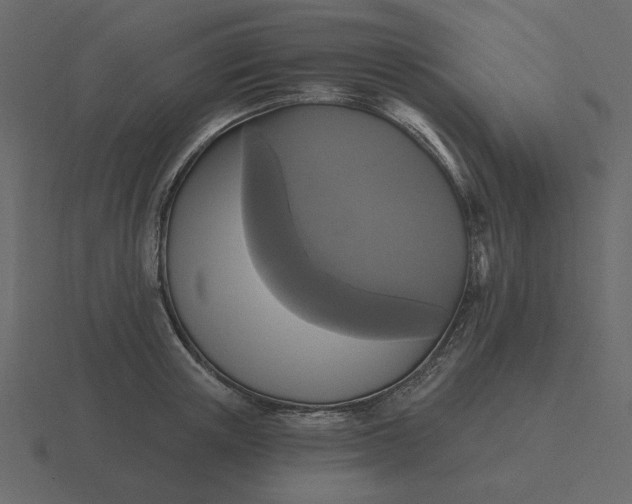 X0000116570851200912241633