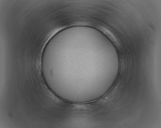 X0000116570852200912241633