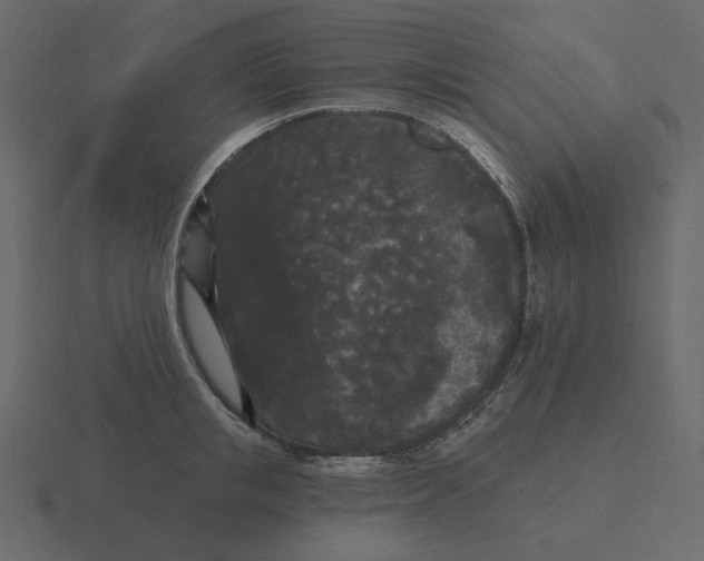 X0000116570853200912241633