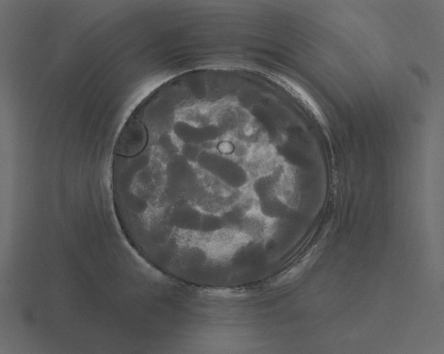 X0000116570855200912241633