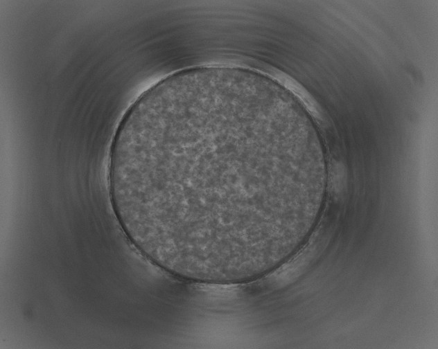 X0000116570856200912241633