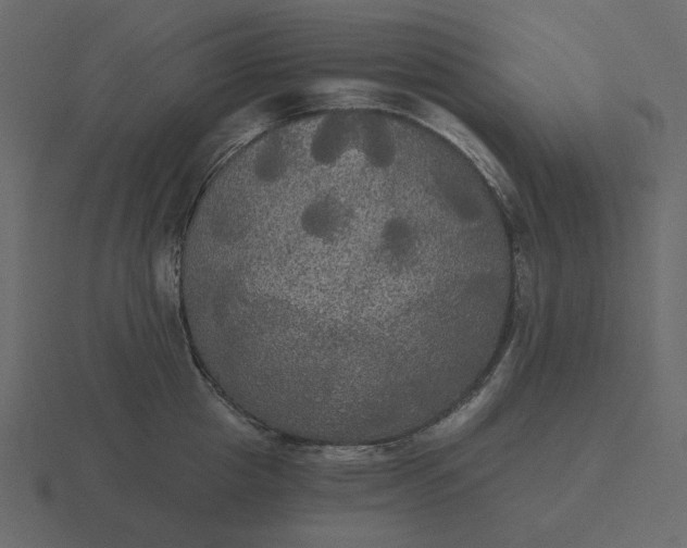 X0000116570857200912241633