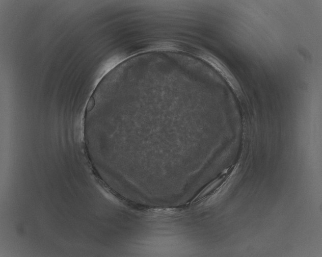 X0000116570858200912241633