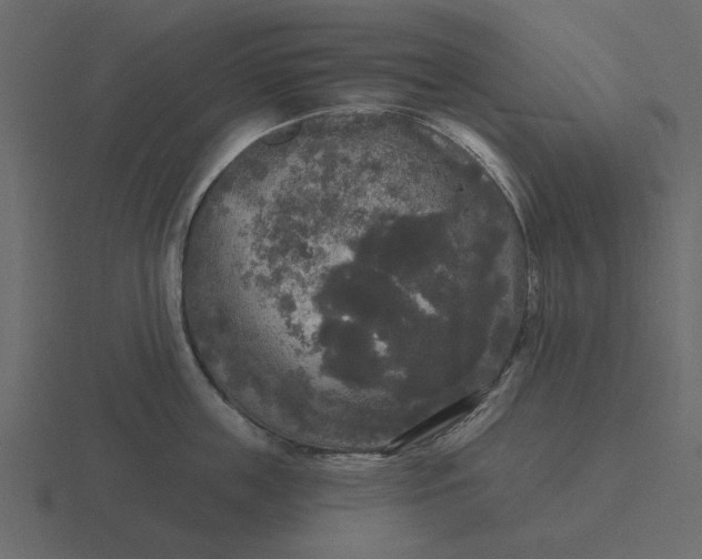 X0000116570859200912241633