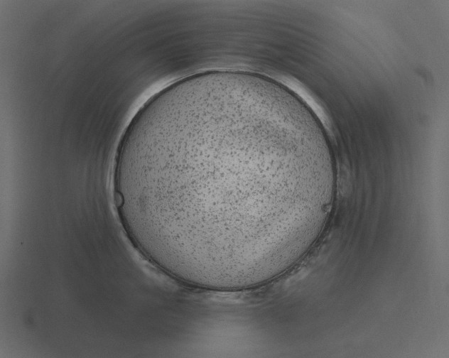 X0000116570861200912241633