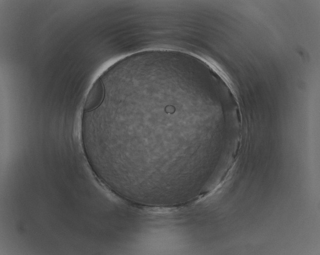 X0000116570862200912241633