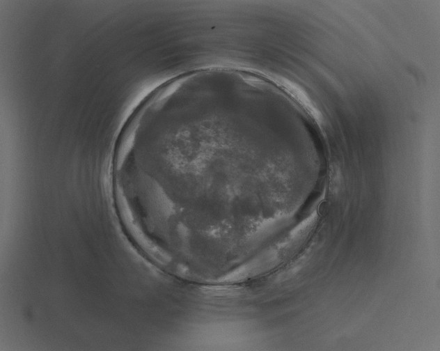 X0000116570863200912241633