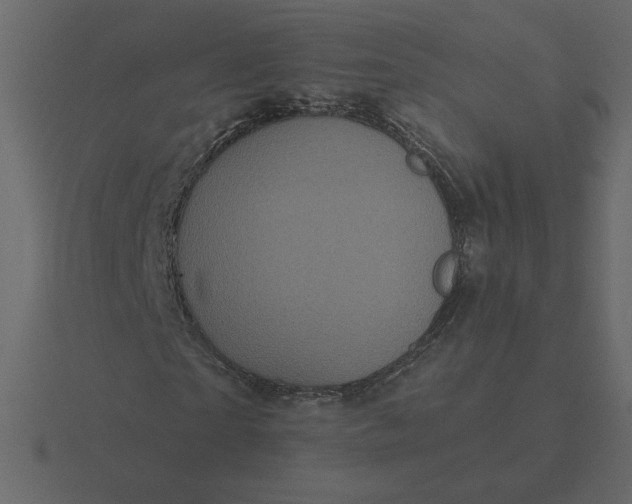 X0000116570865200912241633