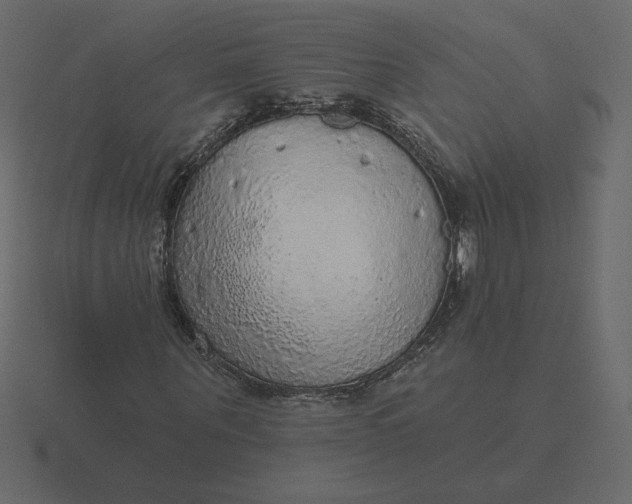 X0000116570867200912241633