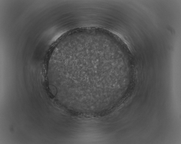 X0000116570871200912241632