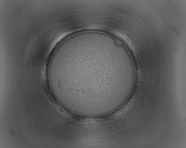 X0000116570875200912241632