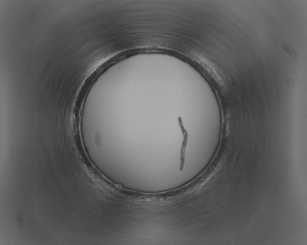 X0000116570876200912241632