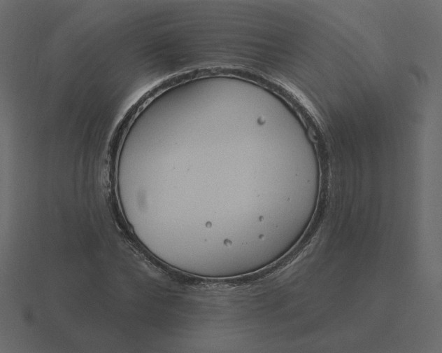 X0000116570878200912241632