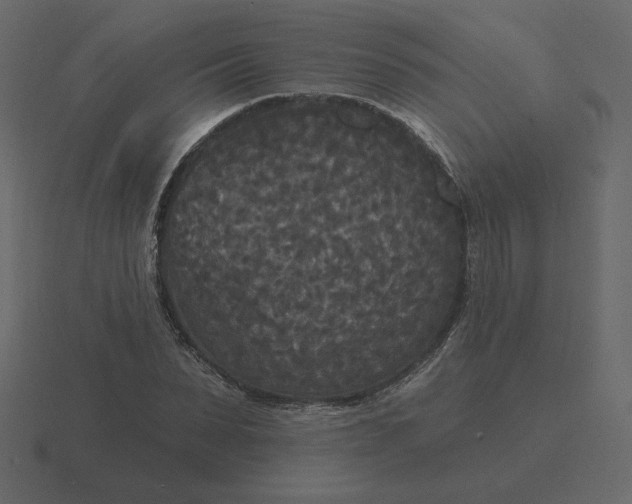 X0000116570879200912241632